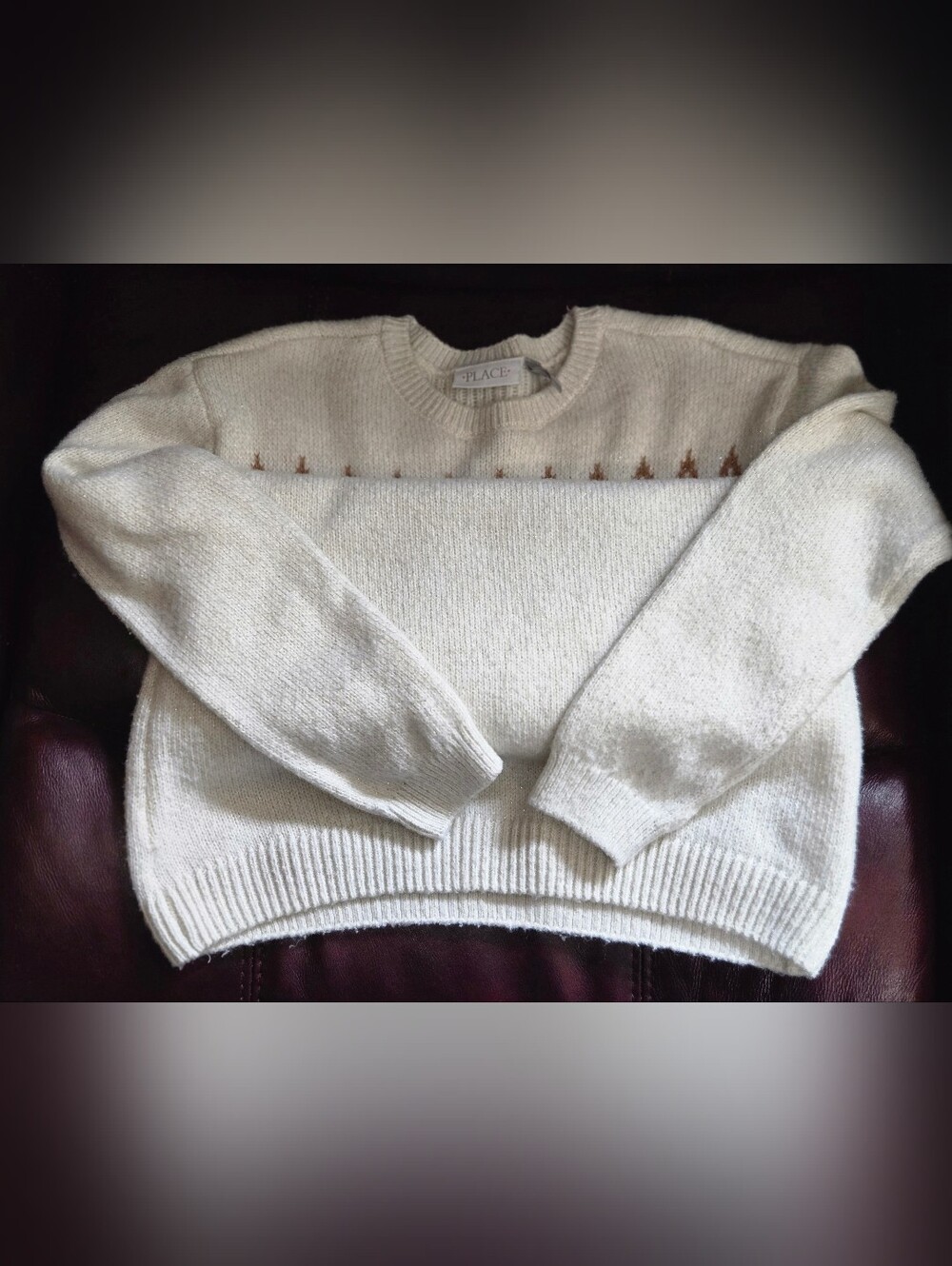 Girls Childrens Place Mommy And Me Fairisle Sweater Dress Size 14 - Picture 6 of 6